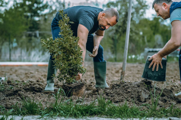 Oak Creek, WI Tree Services Company